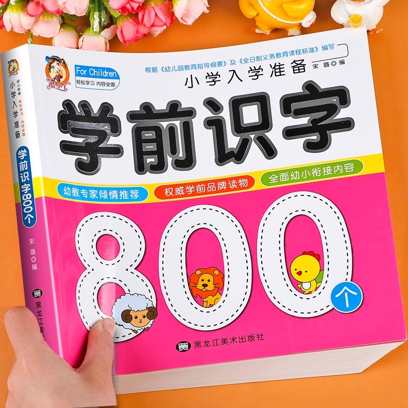 Preschool Literacy: 800 Chines - Kids Education Books avaliação e preço