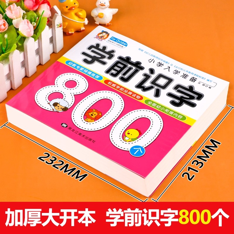 Preschool Literacy: 800 Chines - Kids Education Books avaliação e preço